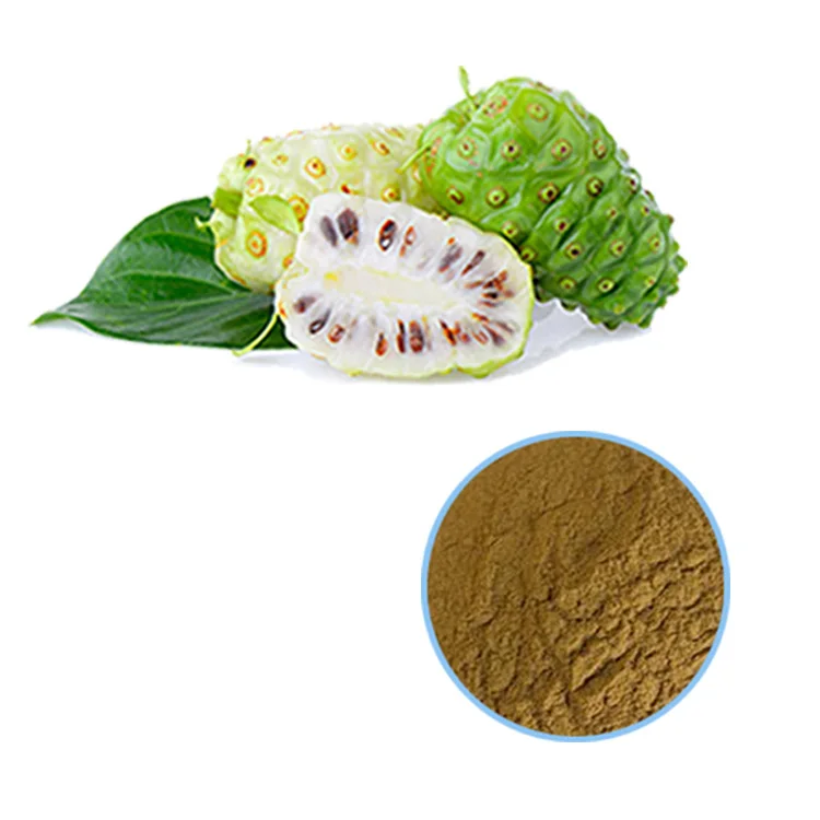 China Noni Manufacturer Supply Health Fruit Extract Powder with Best Price for Noni Capsules