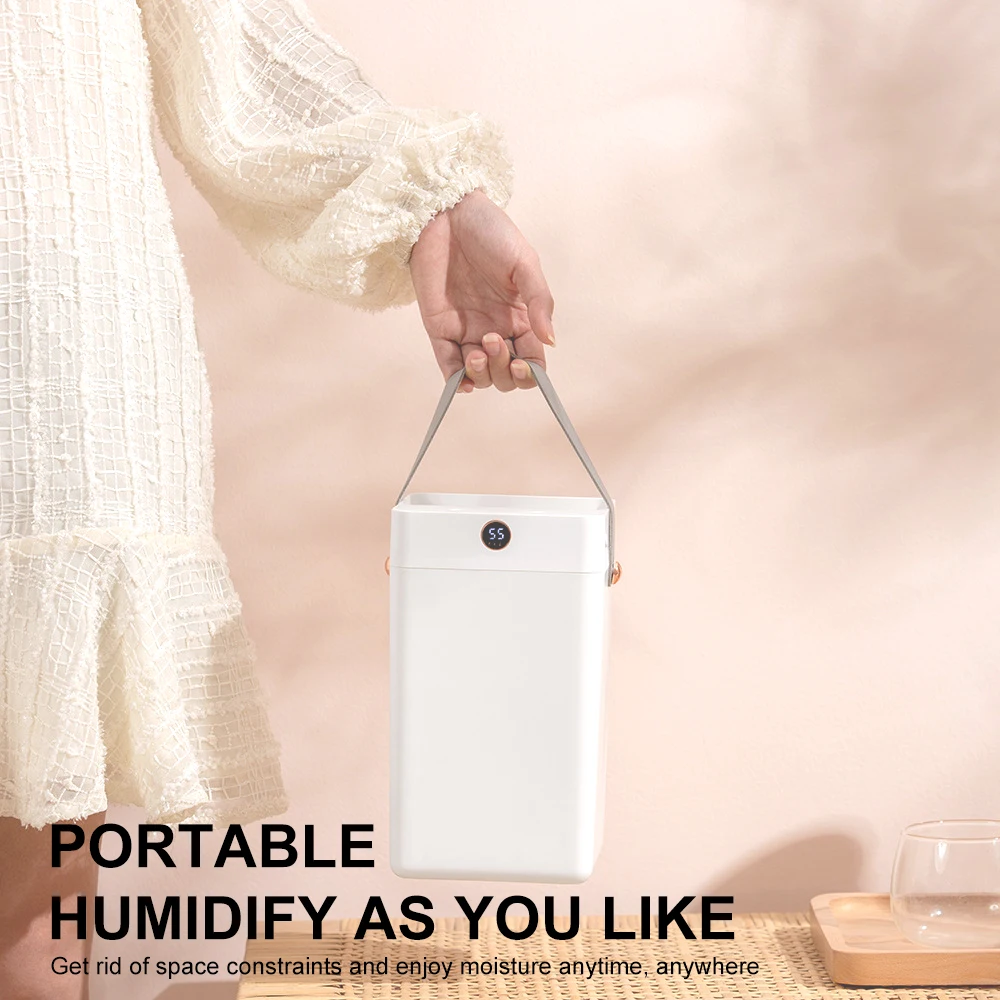 3L Ultrasonic Air Humidifier Aroma Diffuser Air Cleaner Home Office Double Nozzle Water Atomizer