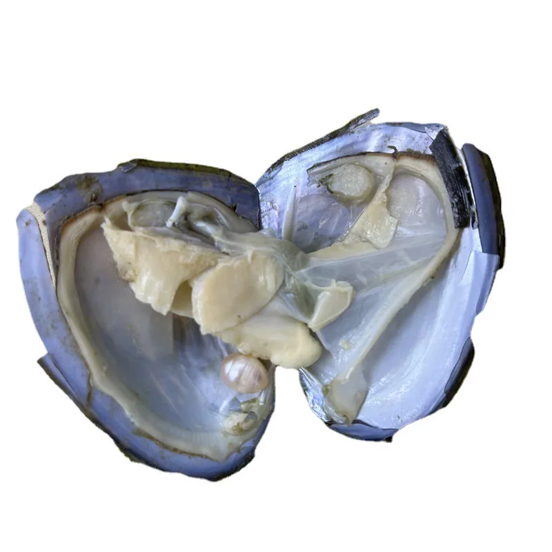 Good style with pearls vacuumed oysters diy handmade freshwater pearls