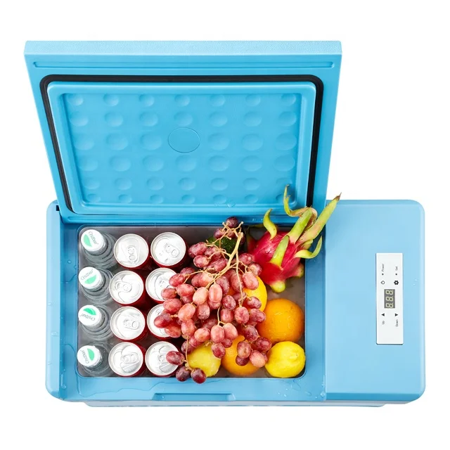 Горячая Распродажа портативный автомобильный Морозильный компрессор 12 В постоянного тока мини-автомобильный холодильник