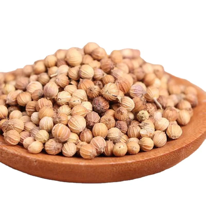 Высокое качество свежие семена кориандера цена семена кориандера