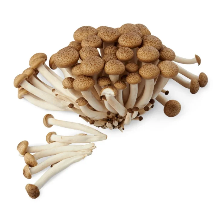 
Best Selling Commercially Cultivated Brown Mushroom Shimeji Edible Fungus 
