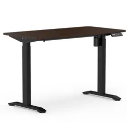 Ergonomics Professional Electric Lift Office Elevating Stand Up Desk Adjustable Height Bureau Debout