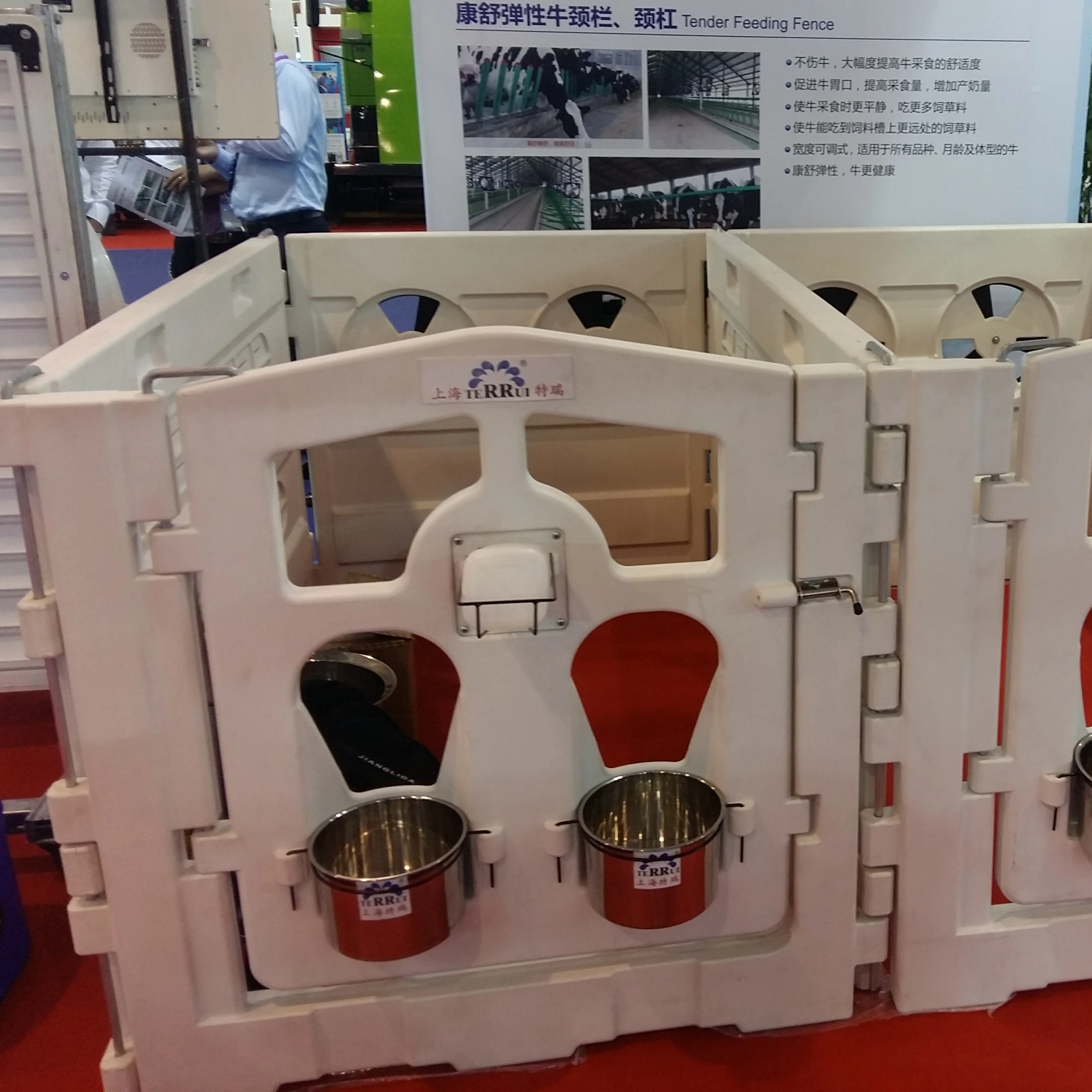 Livestock Farm Dairy Sheep Cow Cattle Animal Farm Livestock House Calf Pen