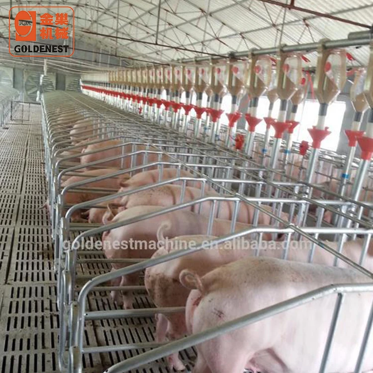 pig raising equipment / pig feeding equipments
