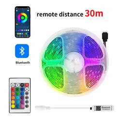 Remote Control Outdoor Dimmable Colorful Light Strip Waterproof Tuya Smart WIFI Wireless SMD Bar Camping LED Strip Light