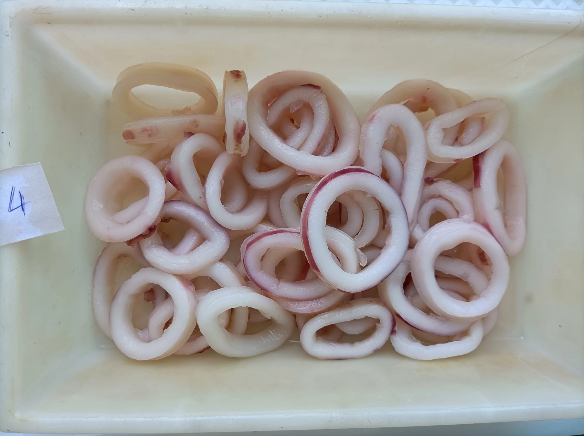 China Manufacture Quality Cheap Price Frozen  Indian  Squid Ring