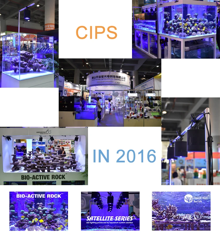 A.S. high efficiency BlueFin Pump Super Silence With Flushing Design Marine Reef aquarium Variable Frequency Pump