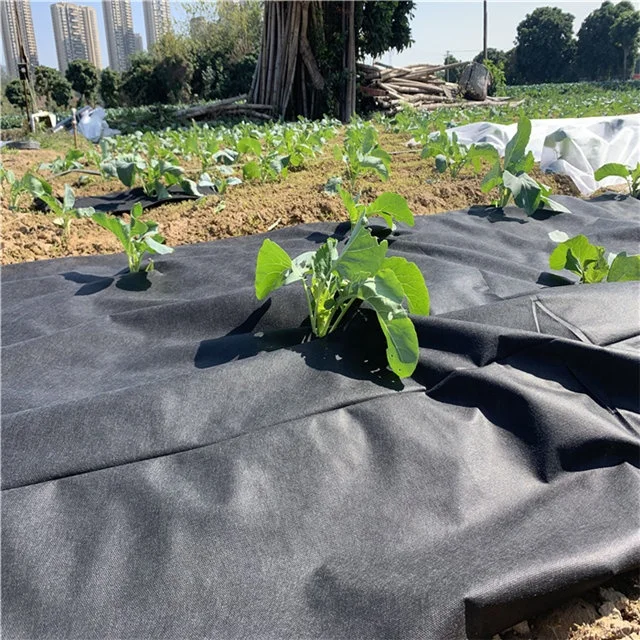 Hualun Factory 100% PP Spunbonded Non Woven Fabric High Quality Agriculture Nonwoven For Fabric Weed Stopper Fabric