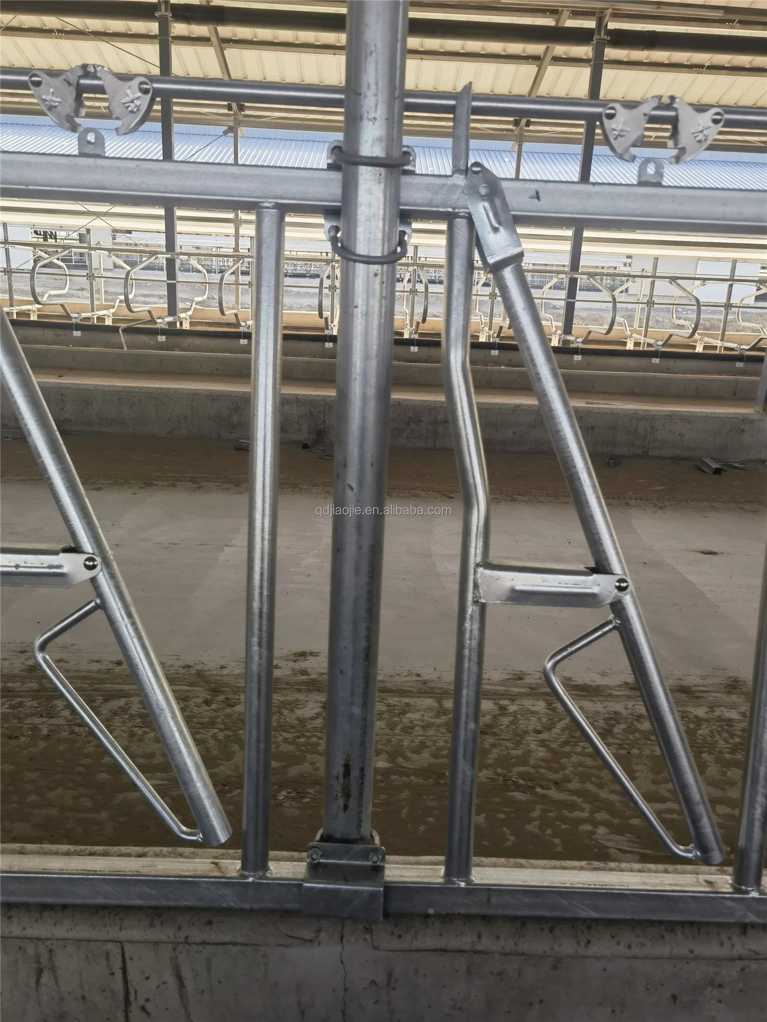 Factory price cattle headlocks with dairy cow galvanized cattle farm headlock