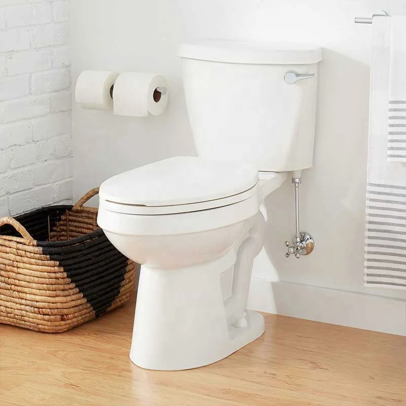 toilet bowl and water tank separate european water closet size