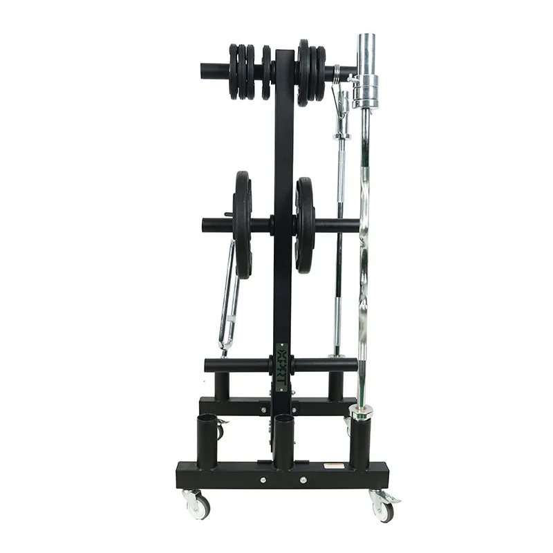 Modern Fitness Gym Equipment Foldable Iron and Steel Weight Plate Rack Bumper Bar Rack for Bodybuilding Storage Solution