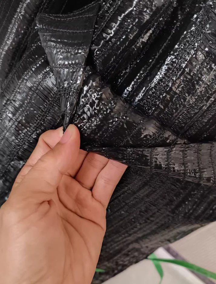 Anti-UV 6 feet x 50 feet Privacy Screen Fence Heavy Duty Fencing Mesh Shade Net Cover for Wall Garden Yard Backyard