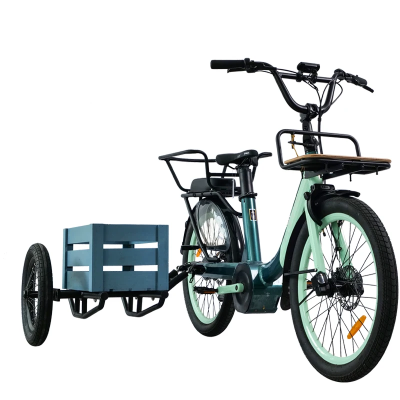 Step Through City Ebike Sidecar Cheap Price Electric Tricycle Children Seat Side car 250w for Sale