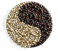 VIETNAM WHITE PEPPER 630 DOUBLE WASHED WHOLESALE HIGH QUALITY BEST PRICE BRC FOOD TOP SUPPLIER HANFIMEX GROUP