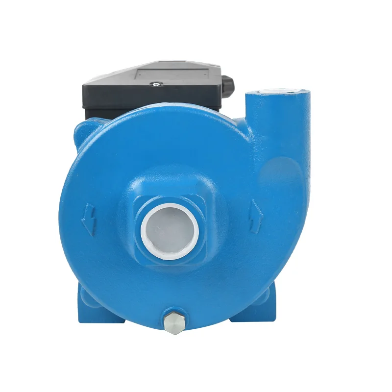 High Pressure 0.9HP Electric Water Pump Brass Impeller Single-Stage Centrifugal Pump Drinking Water Treatment Customizable OEM