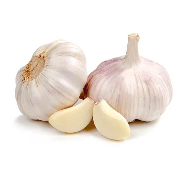 Best Deal Today Import Factory Supplier for  Normal White Garlic Fresh Garlic  Red Chinese Garlic
