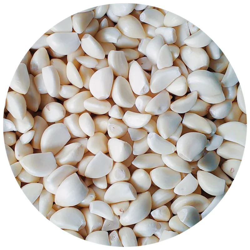 Large Packaged Clean Frozen Garlic in Sweet Taste Spicy Delicious IQF Process Bulk Packed in Carton with Cube Chunk Dice Pattern