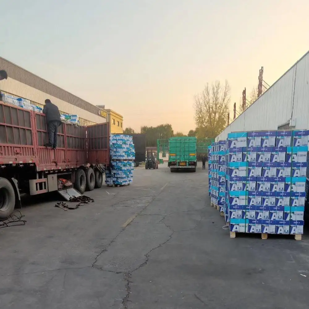 a4 paper 80gsm Copy Paper 500 Sheet Ream