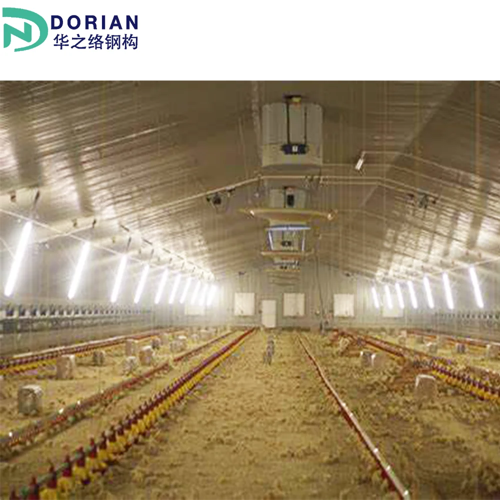 Light Design environmental control poultry house Prefabricated metal construction farm building 40x40 chicken house
