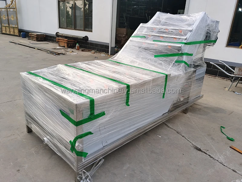 Stainless Steel Special cleaning machine for mulberry leaves Vegetable Algae Chili Onion Potato Cleaning Machine