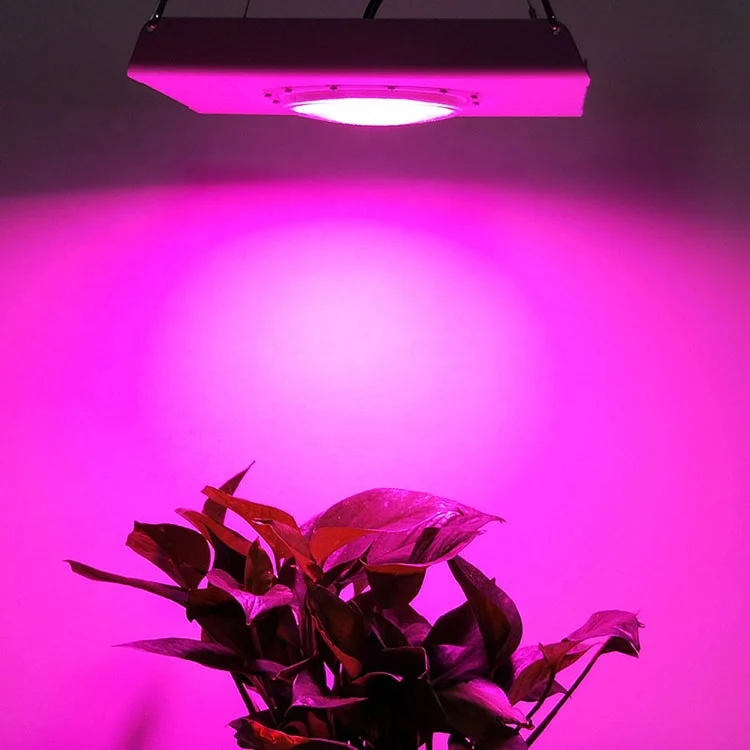 110V 120V 220V 50W High Waterproof IP67 Full Spectrum Medical  COB Led Plant Grow Light for indoor plants