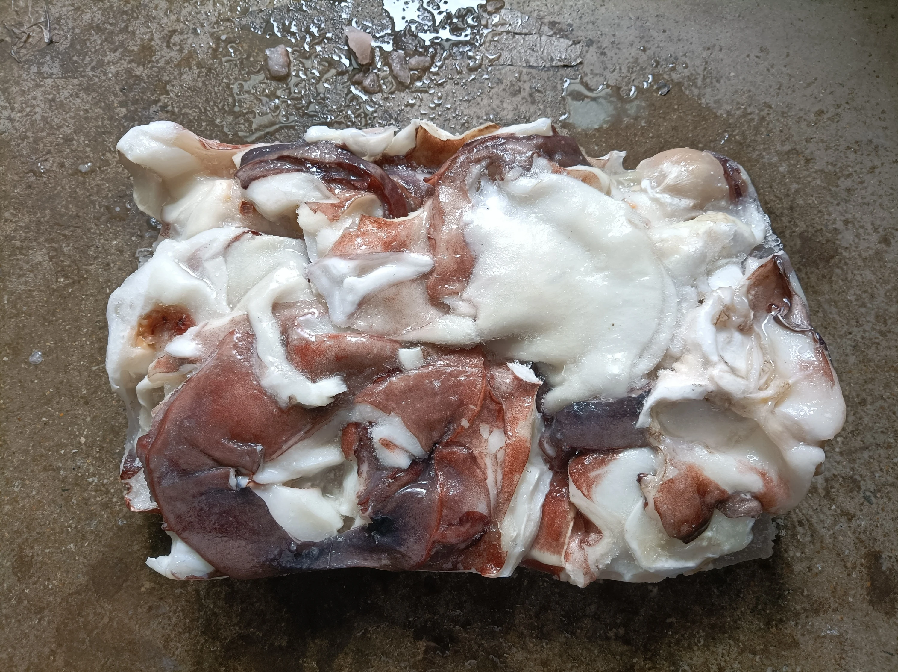 F103 New Arrival High Quality Frozen Giant Squid Neck 500G+ Frozen Squid Neck