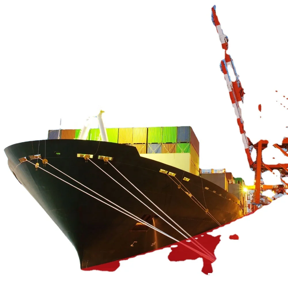 Top10 China International Shipping Agent LCL Sea Freight to Canada/USA FBA Amazon by DDP without China Warehouse Rent