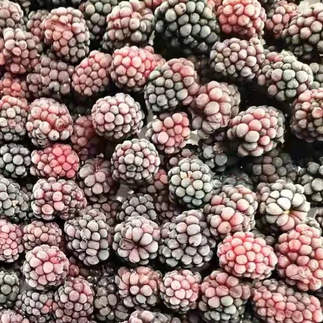 Китайский замороженный фрукт IQF Blackberry