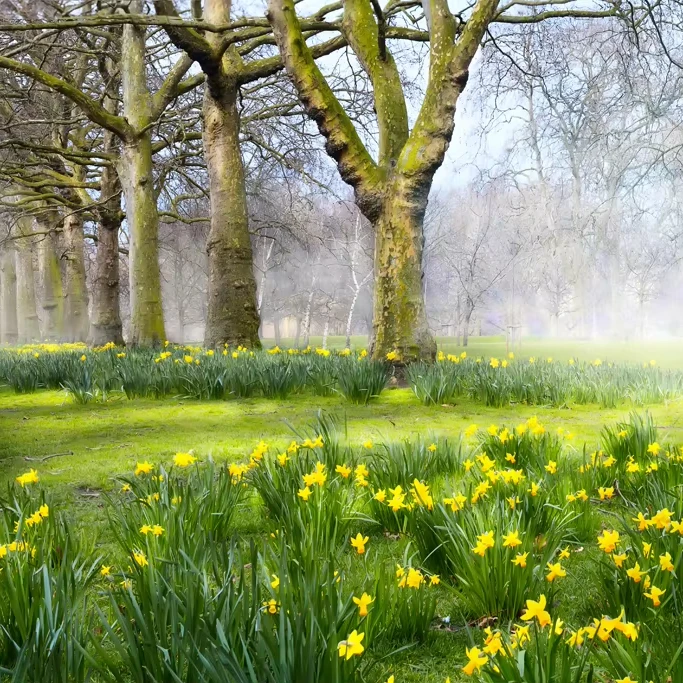 2024 New Design Tree Mural Beautiful Wallpaper For Living Room