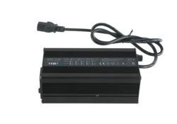 Lithium Battery Charger 24V 36V 48V 48 Volt 60V 120A 100A 70A 60A 360W Lithium Battery Charger