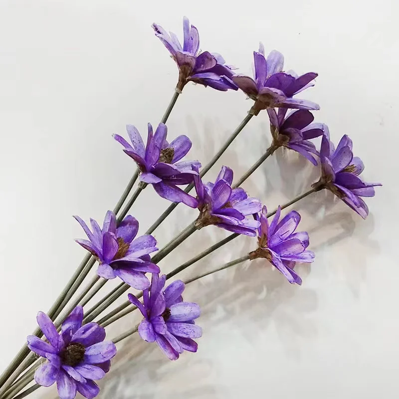 Factory Direct Wholesale Colorful handmade Melon seeds flower for Desktop decoration