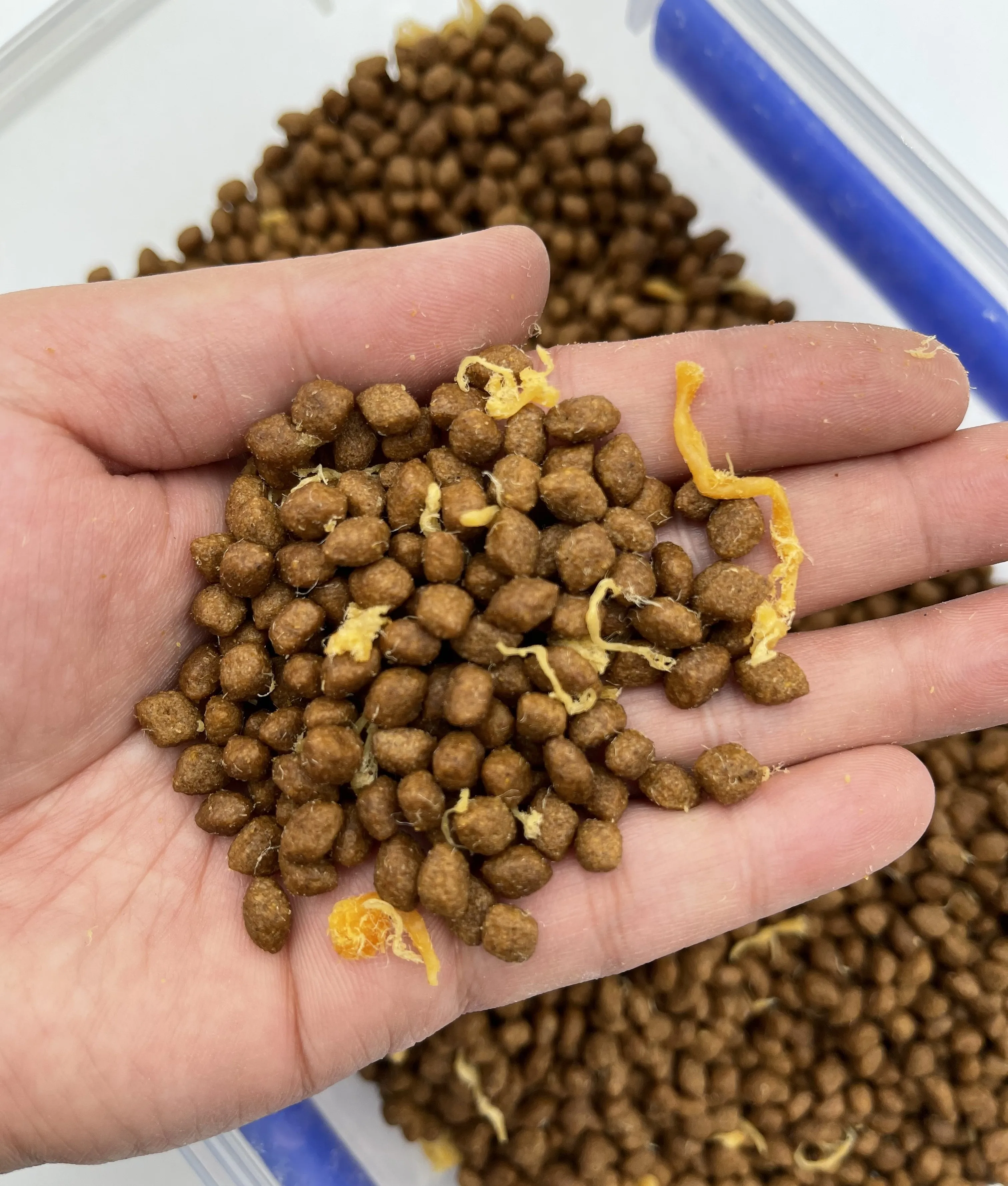 Wholesale Delicious Cats Treats Dry Pet Food Nutrition Fresh Meat Cat Snack Dry Food