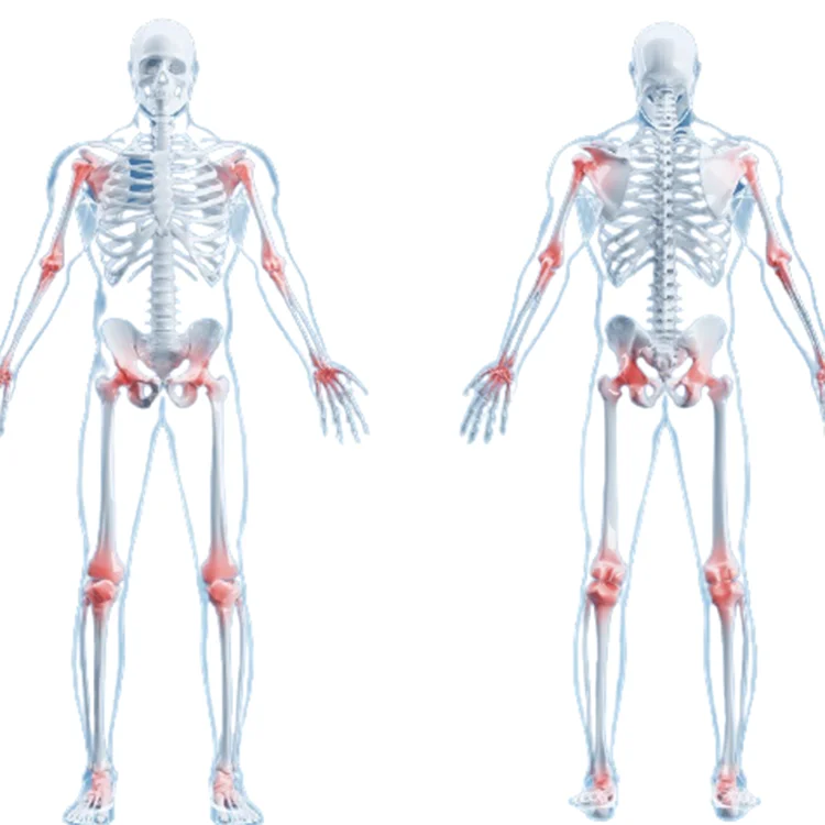 High Quality Protein Collagen Hydrolyzed Protein Animal Skin Or Bone Protein Powder