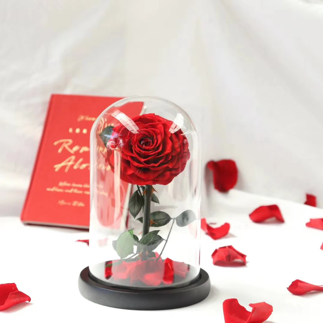 Best China Wholesale Real Touch Rosas Eternas Preservadas Forever Fresh Flower Eternal Preserved Rose In Glass Dome