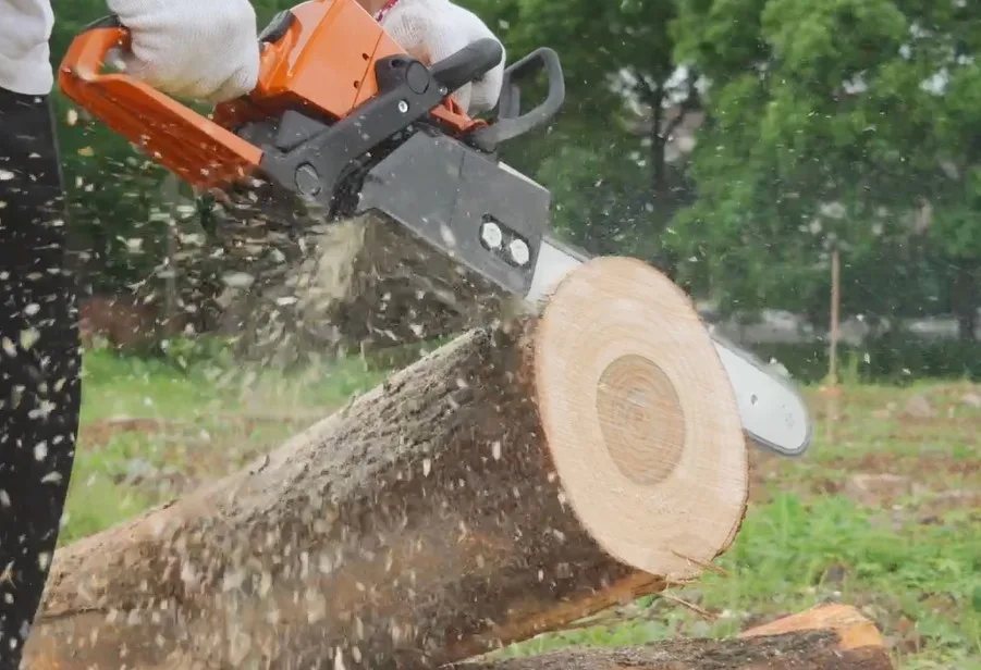 HOTOKA ms 250 gas chainsaw machine price 2 stroke ms250 45cc petrol chain saw for sale