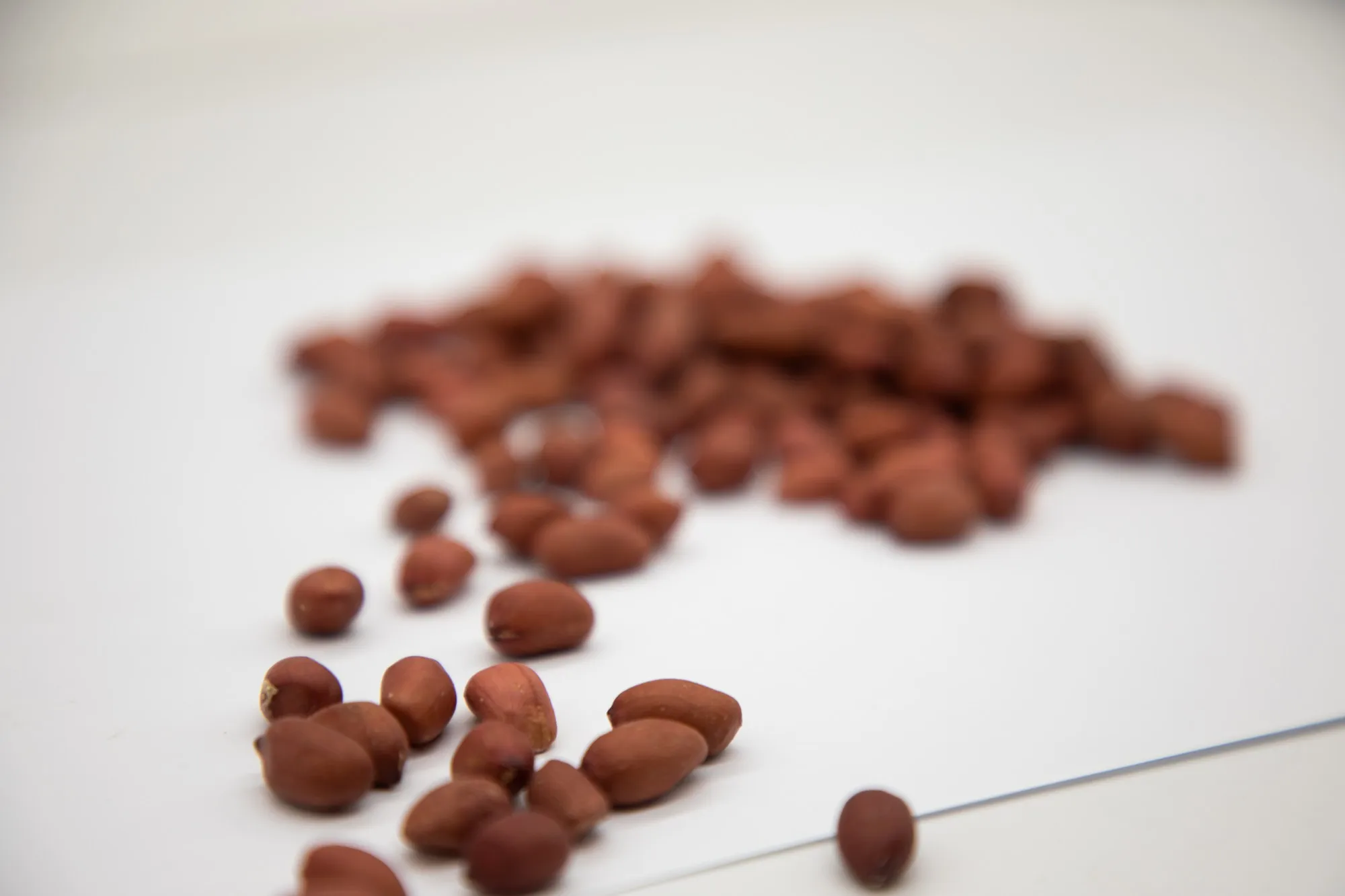 Healthy snack top grade organic peanut kernels peeled peanuts nuts in bulk from Uzbekistan manufacturer