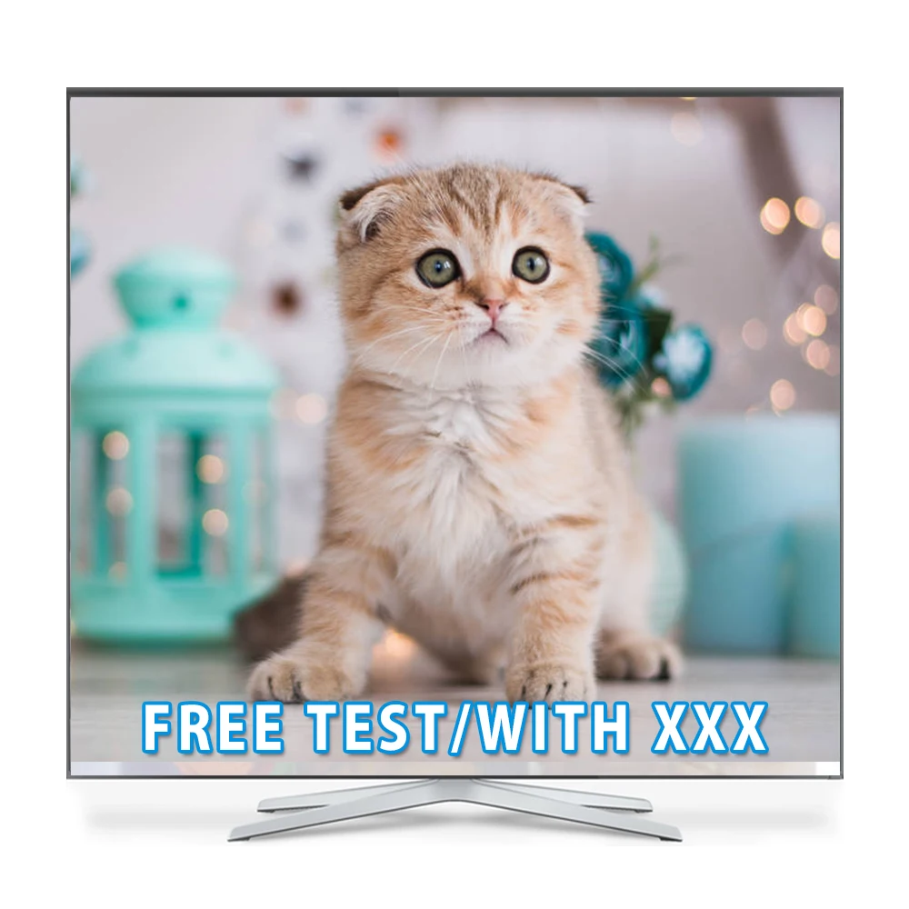 4k tv m3u iptv with iptv reseller panel