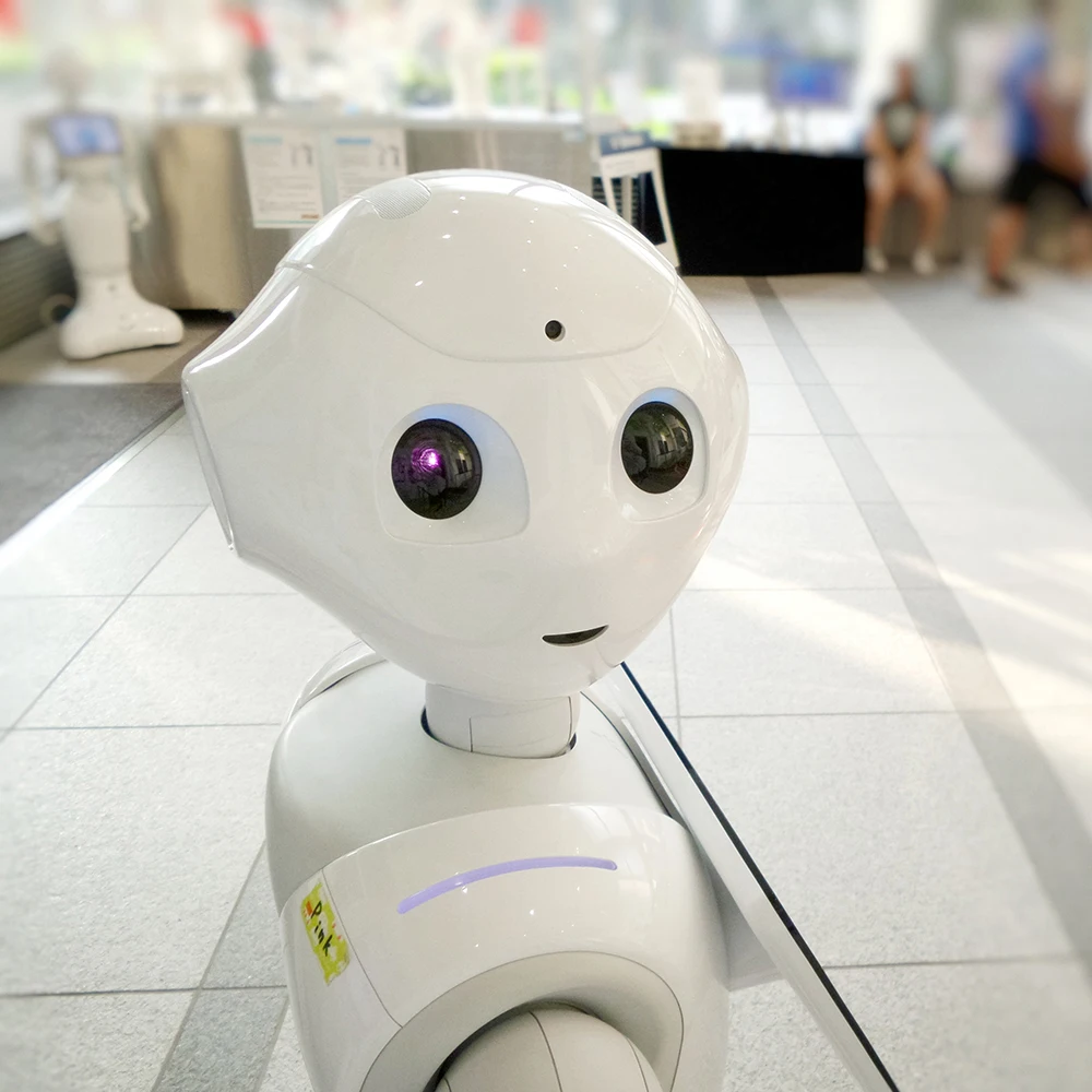 Программируемый робот SoftBank с открытой платформой для исследований и образовательных целей индивидуальный SDK Многофункциональный