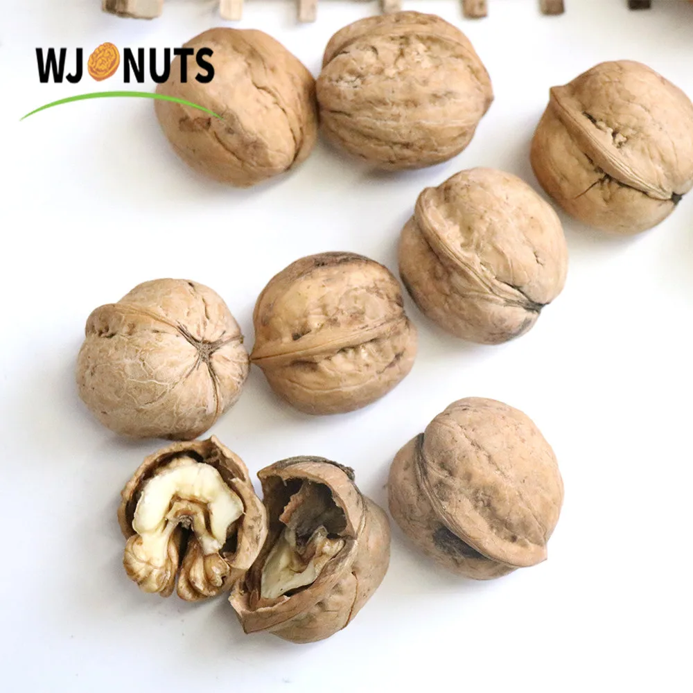 Высококачественные грецкие орехи, высококачественные грецкие орехи и тонкий грецкий орех с оболочкой оптом