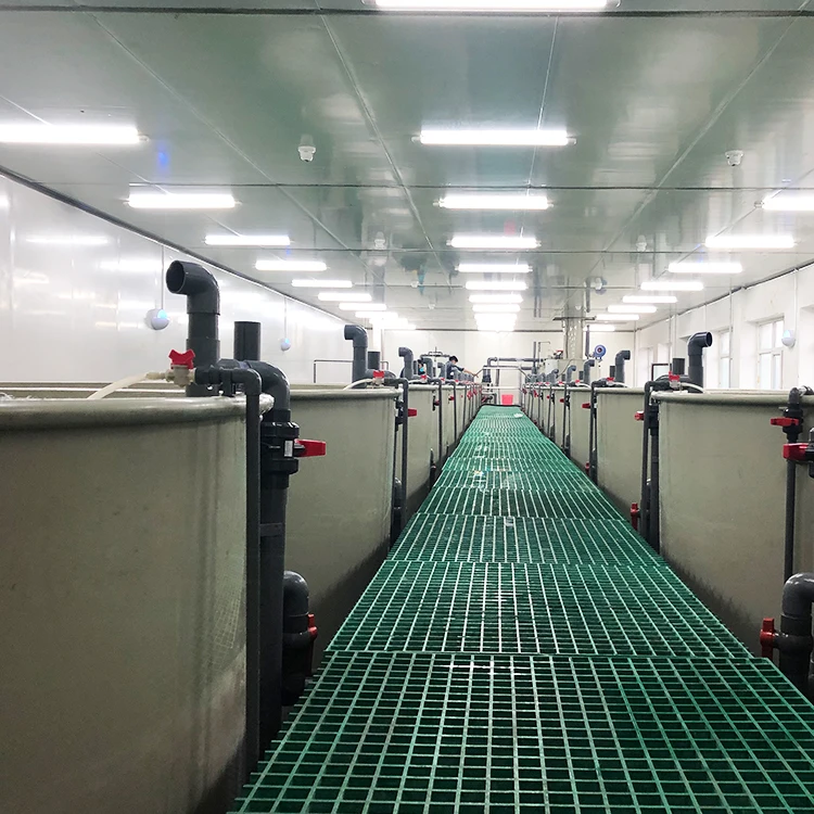 aquaculture equipment indoor outdoor industrial fish farm system fish farming ras recirculating aquaculture system