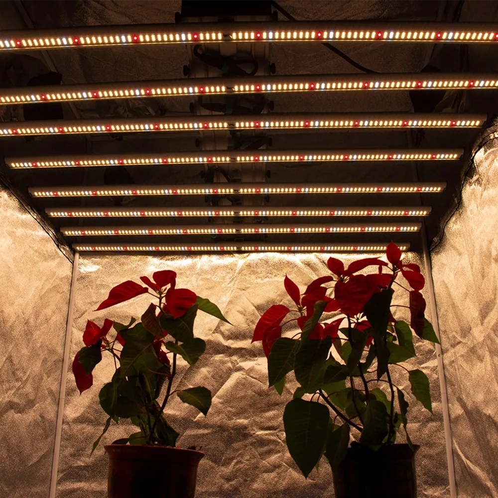 Professional lighting garden growth for indoor plants led lights veg samsung 1000w led grow light