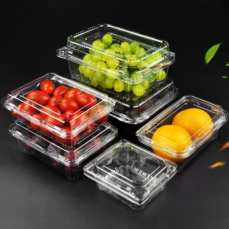 Hot Sale Transparent Fruit Box Disposable High Quality Plastic Containers