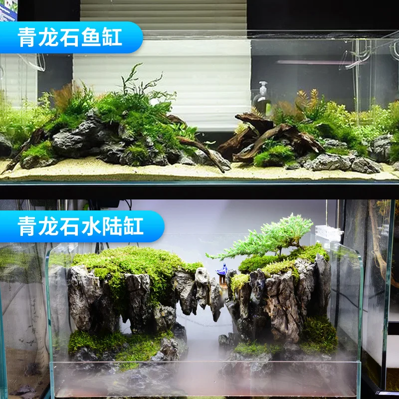 shiqu natural pickling green dragon  grass tank aquarium landscape Yingde stone rockery w