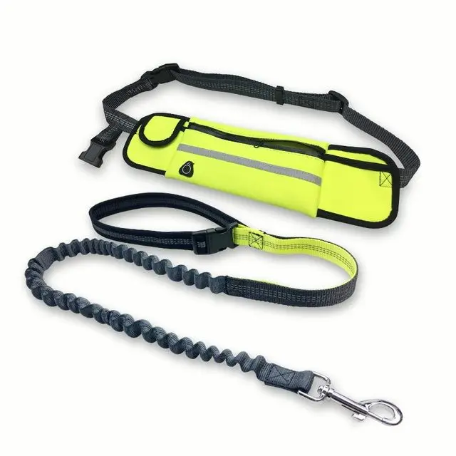Elastic Adjustable Dual Bungee Dog Leashes Padded Waist Waterproof Bag Hands Free Dog Leash For Running
