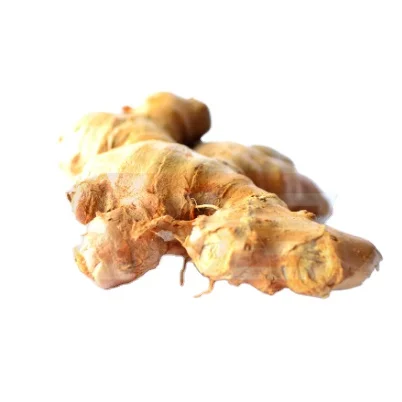 Ginger Fresh From Thailand