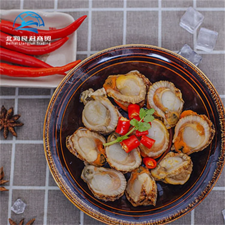 Wholesale new products fresh frozen seafood frozen sea scallops cooking ingredients shellfish  scallop meat