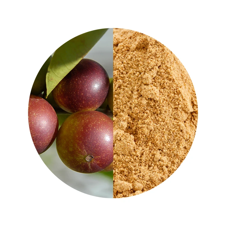 Factory Price Vintamin Camu Camu Powder Dietary Supplements Brazilian Antioxidant Herb Extract Powder
