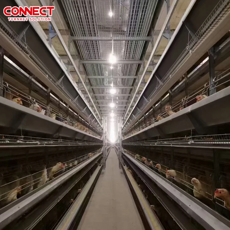 6 7 8 9 10 11 12 Tiers Full Set Birds Husbandry Livestock Machine Poultry Farm Equipment Automatic Broiler Chicken Cage System