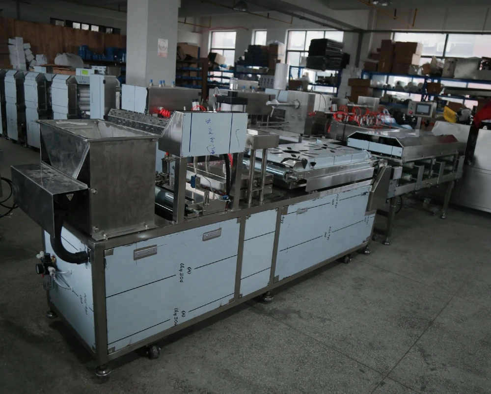 
sss supplied tortilla chips production line 